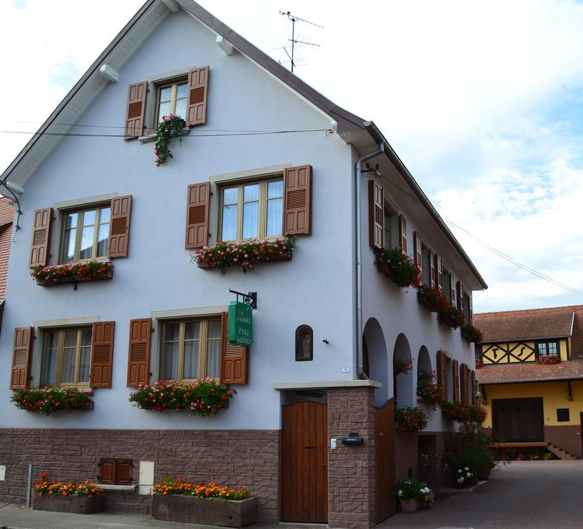 Appartamento Vignobles Frey-Sohler Scherwiller Esterno foto