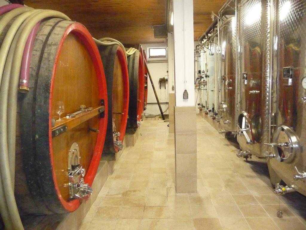 Appartamento Vignobles Frey-Sohler Scherwiller Esterno foto