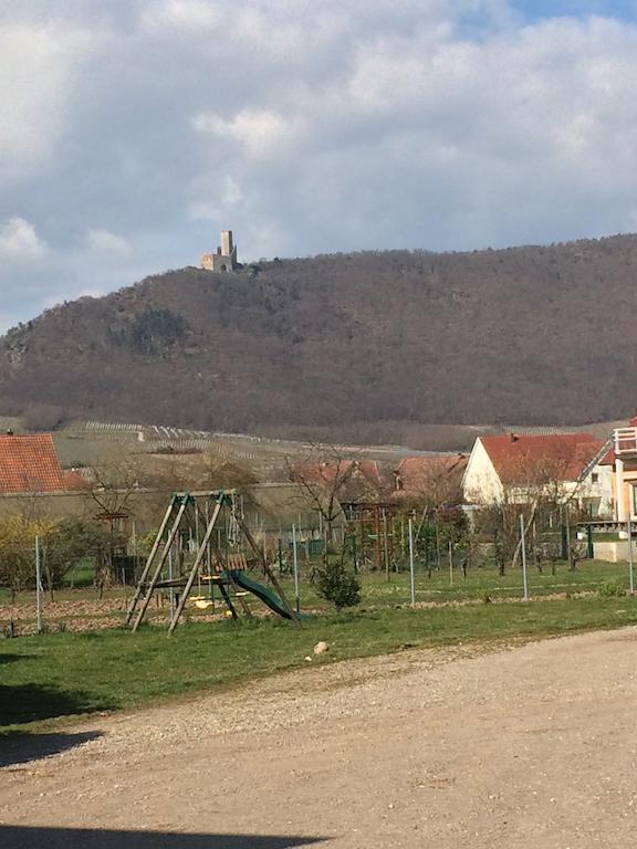 Appartamento Vignobles Frey-Sohler Scherwiller Esterno foto